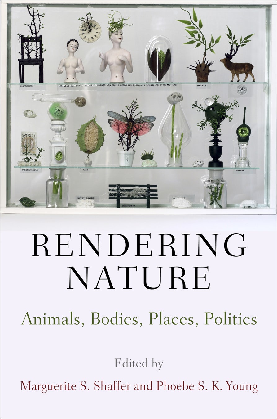 Book cover image for Rendering Nature ISBN: 9780812291452